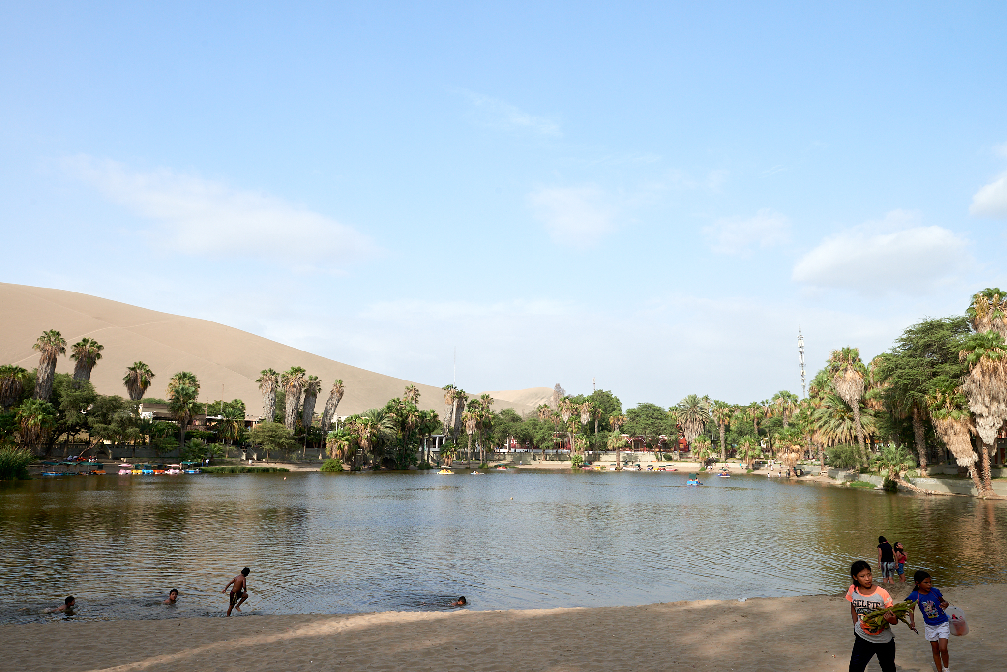 20200303 077 [페루] 와카치나